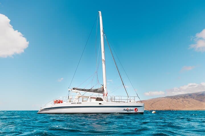 Midday Whale Watch from Mā’alaea Harbor — Humpback Viewing in the ʻAuʻau Channel photo 6