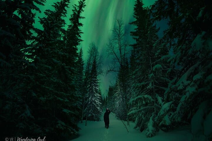 Adults-Only Aurora Hunt in Levi: Northern Lights Wilderness Experience