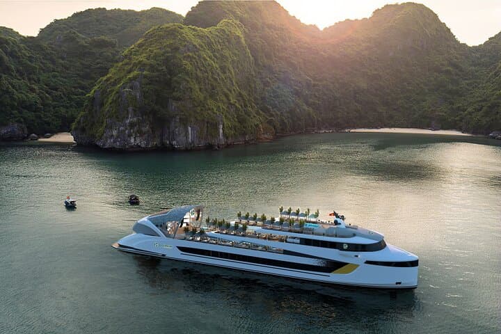 Dolphin Luxury Day Cruise in Ha Long Bay — Swim Luon Cave & Ti Top Island photo 4