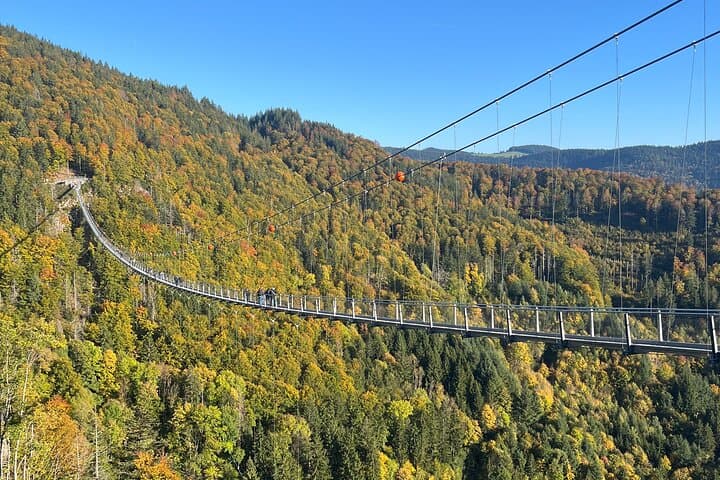 Private Black Forest Day Tour from Basel — Feldberg, Titisee & Todtnau Suspension Bridge photo 3