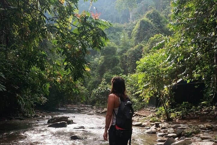 Bukit Lawang 3-Day Jungle Trek & River Tubing: Orangutans, Camping, and Bohorok River photo 5