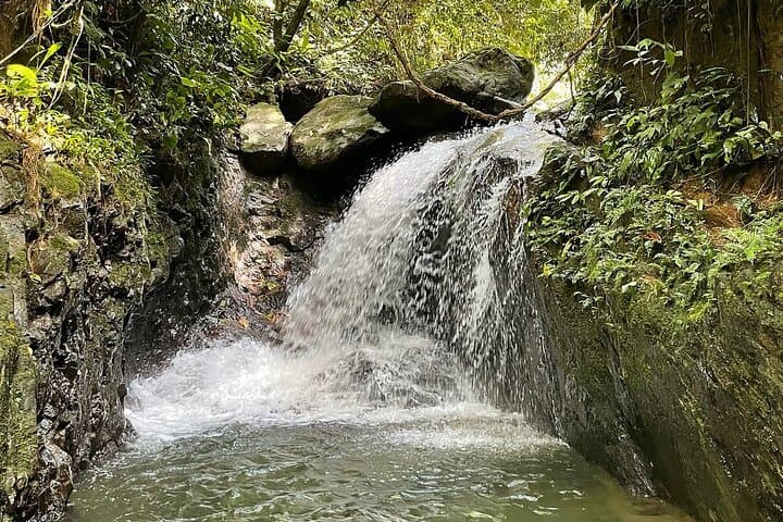 Bukit Lawang 3-Day Jungle Trek & River Tubing: Orangutans, Camping, and Bohorok River photo 6