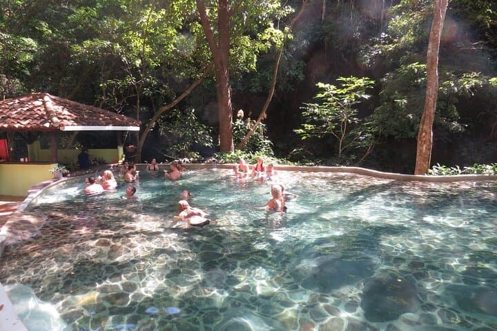 Guanacaste Waterfalls, Rainforest & Coffee Tour — Llanos de Cortés to Río Celeste photo 2
