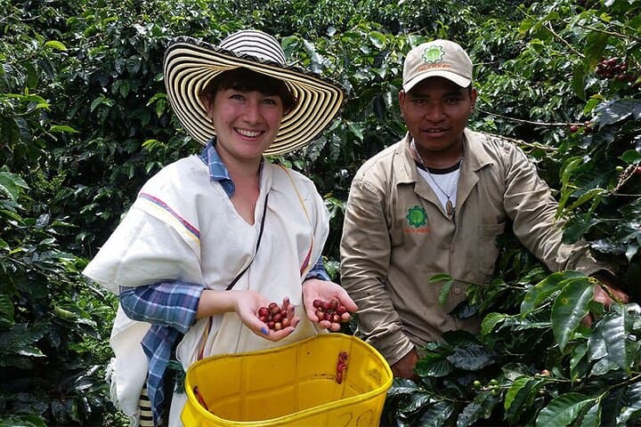 Guanacaste Waterfalls, Rainforest & Coffee Tour — Llanos de Cortés to Río Celeste photo 4