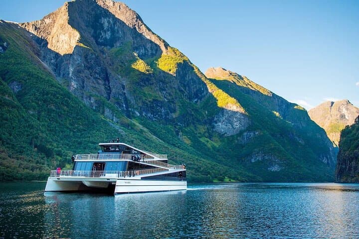 Flåm Railway, Nærøyfjord Cruise & Stegastein Viewpoint — Full-Day from Bergen photo 3