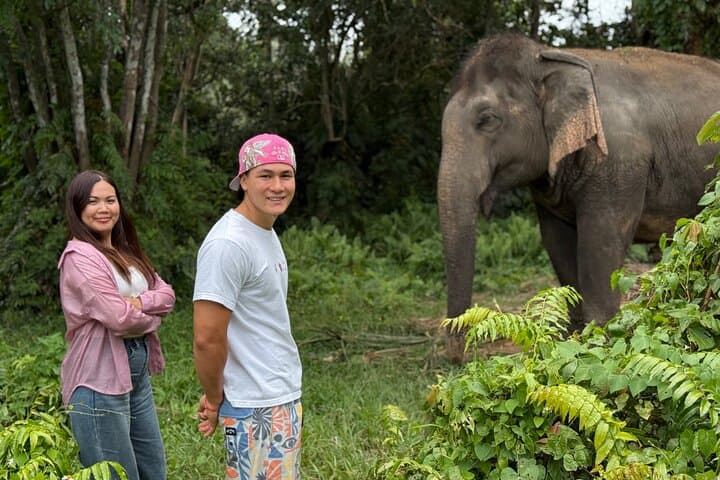 Army Jeep Jungle Safari & Elephant Freedom Rescue Centre Tour — Koh Samui Day Trip photo 2