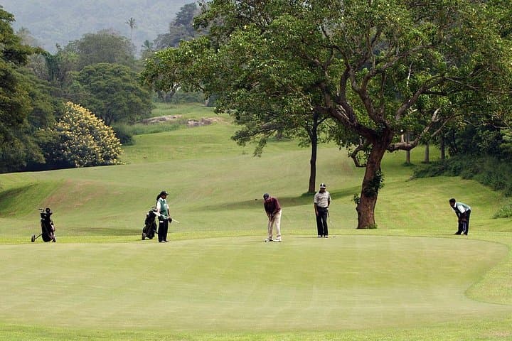 11-Day Private Golf Tour in Sri Lanka: Play Royal Colombo, Kandy & Coastal Links photo 1
