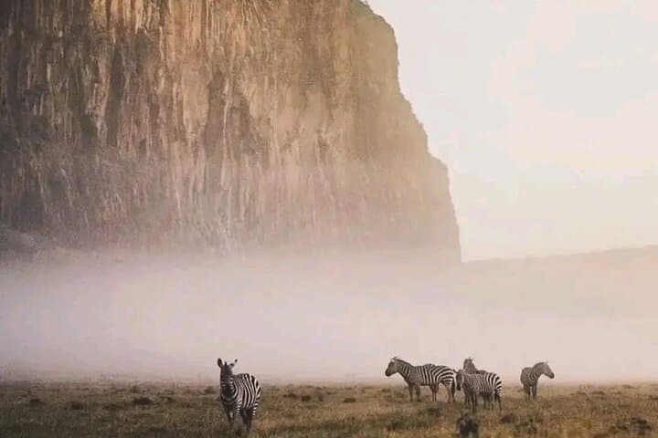 Hell's Gate and Lake Naivasha Day Tour — Cycling Gorges, Hippos & Crescent Island photo 6