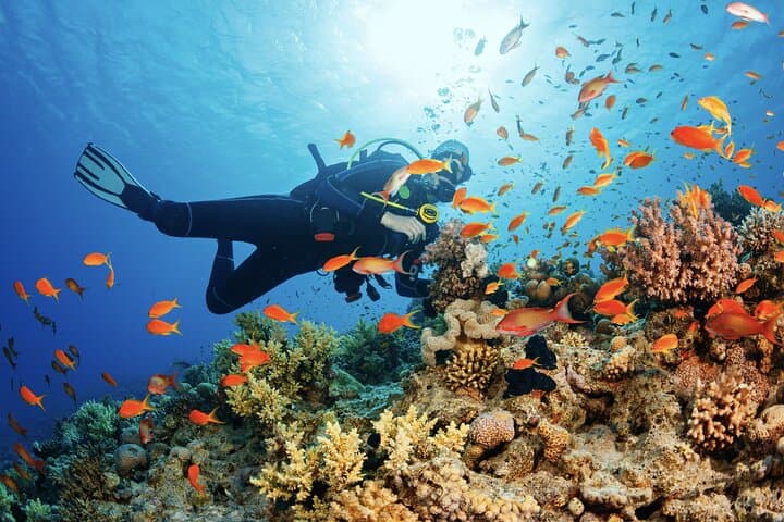 Hurghada Intro Scuba Dive: Red Sea Reefs & Onboard Lunch