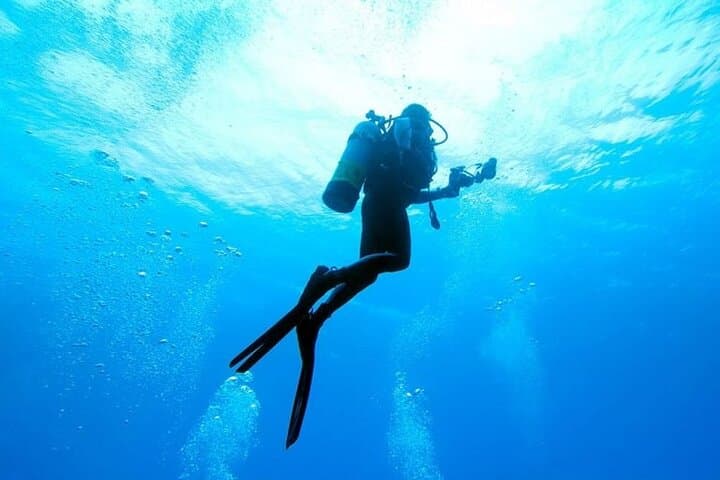 Hurghada Intro Scuba Dive: Red Sea Reefs & Onboard Lunch photo 3