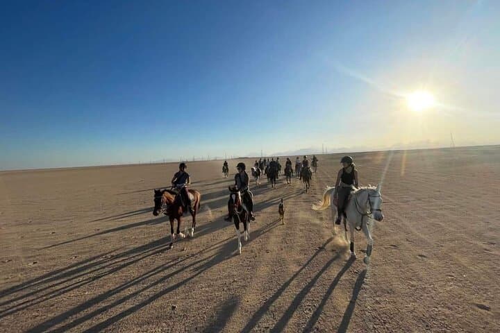 Hurghada Horseback Ride and Turkish Hammam Spa Experience