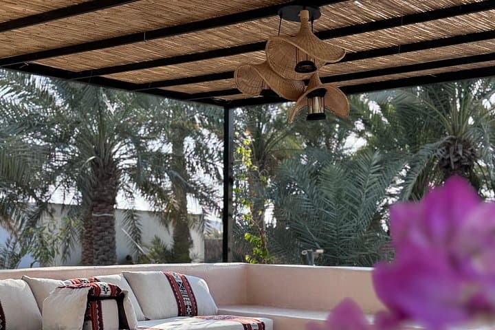 Emirati Farm & Desert Experience in Al Ain — Palm-Farm Visit with Falcons and Camels photo 1