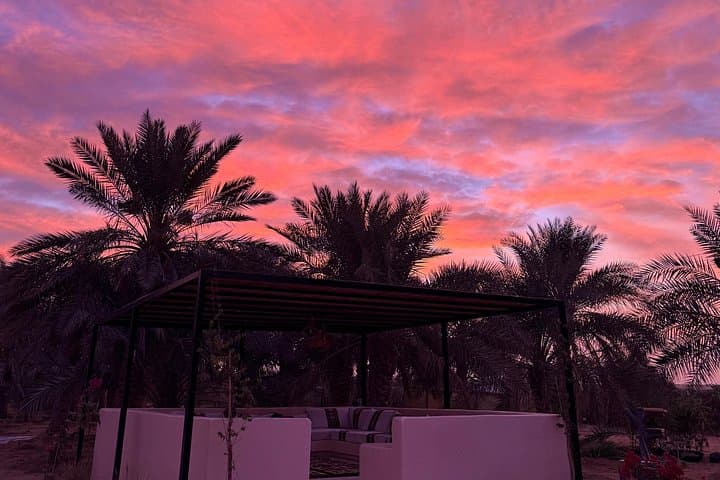 Emirati Farm & Desert Experience in Al Ain — Palm-Farm Visit with Falcons and Camels photo 2