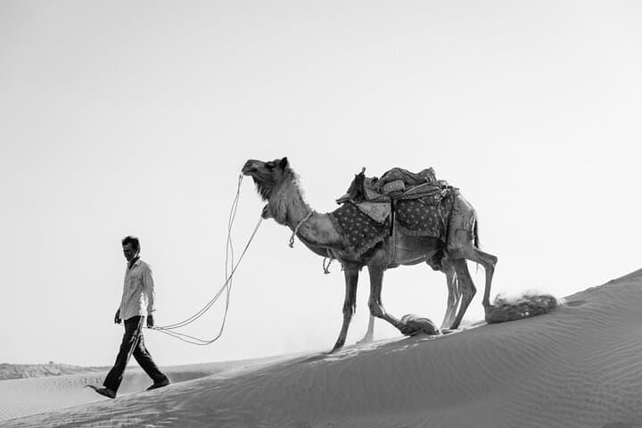 Thar Desert Cultural Show & Sunset Camp — Evening Excursion from Jaisalmer photo 5
