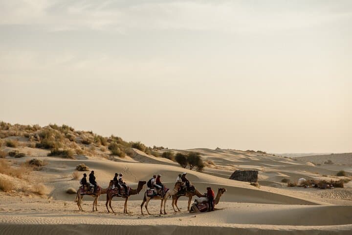 Thar Desert Cultural Show & Sunset Camp — Evening Excursion from Jaisalmer photo 2
