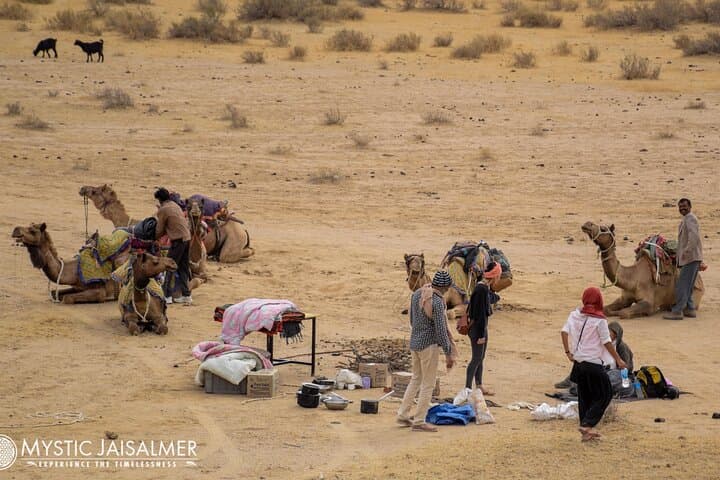 Jaisalmer Thar Desert 2-Day Camp & Cultural Night — Luxury Tents and Camel Sunset photo 5