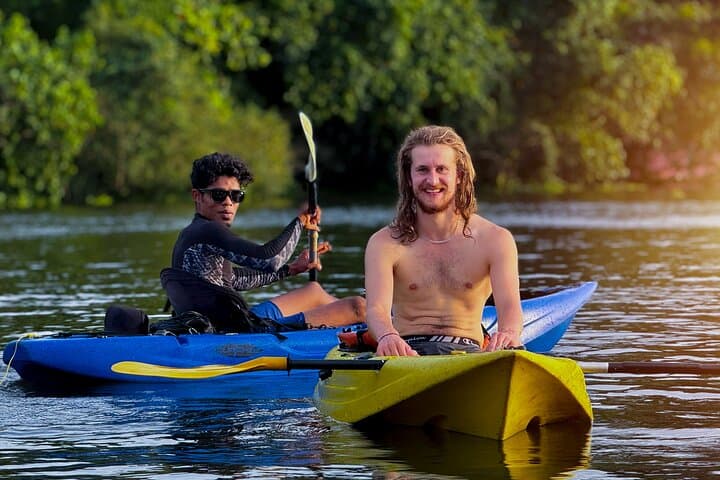 Kumbalangi Kayak Tour: Guided Backwater & Mangrove Experience near Kochi