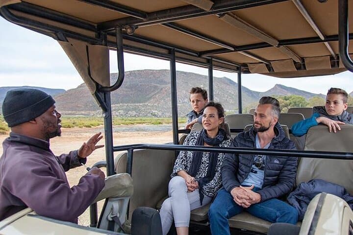 Aquila Day Safari from Cape Town — Big Five in One Day photo 2