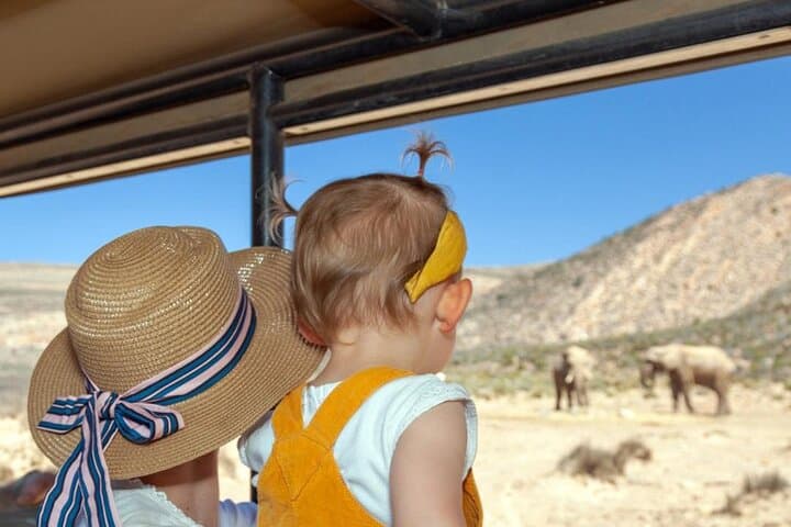 Aquila Day Safari from Cape Town — Big Five in One Day