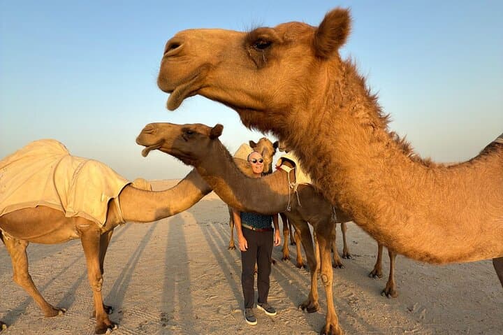 Kuwait City Full-Day Tour — Towers, Museums & Souqs photo 6