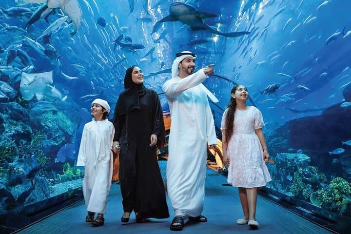 Dubai Mall Aquarium & Underwater Zoo — Tickets with Private Transfer