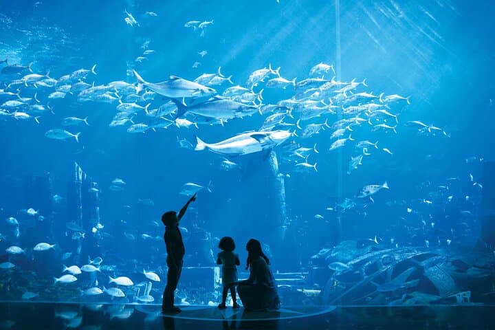 Atlantis Water Park & The Lost Chambers Aquarium — Full-Day Ticket with Transfers photo 3
