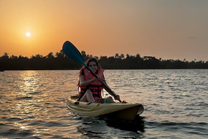 Kumbalangi Kayak Tour: Guided Backwater & Mangrove Experience near Kochi photo 4