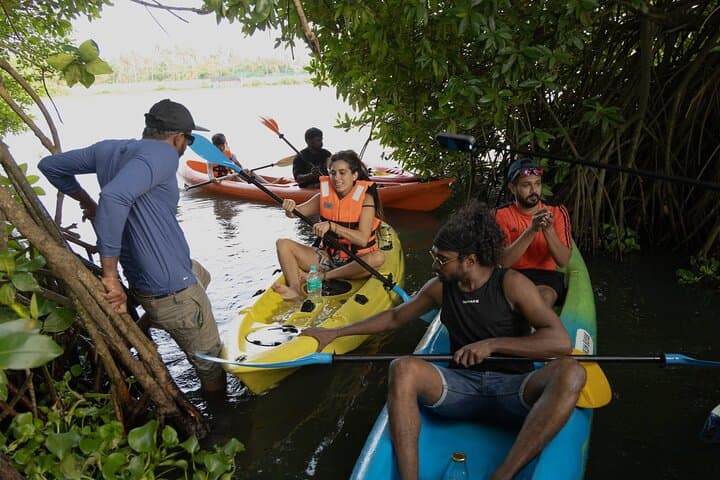 Kumbalangi Kayak Tour: Guided Backwater & Mangrove Experience near Kochi photo 5