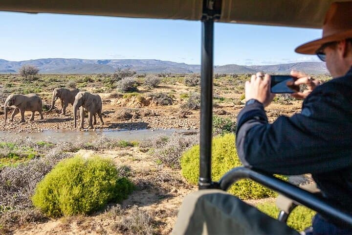 2-Day Inverdoorn Big Five Safari: Luxury Karoo Wildlife Escape photo 3