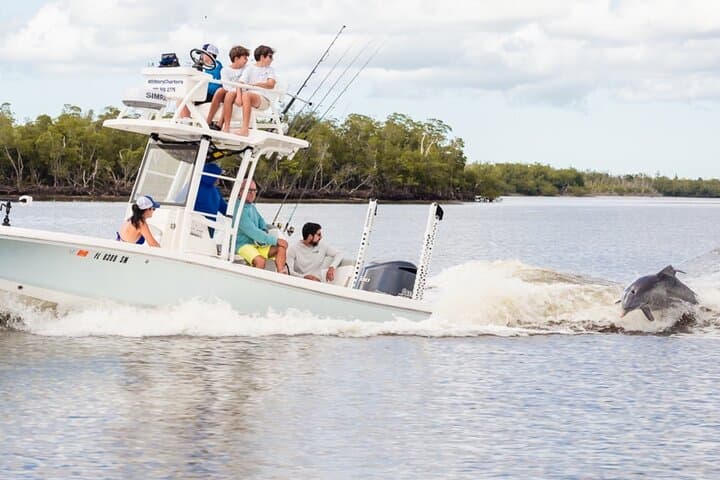 Private Dolphin & Eco Boat Tour in Marco Island — 2-Hour 10,000 Islands Cruise