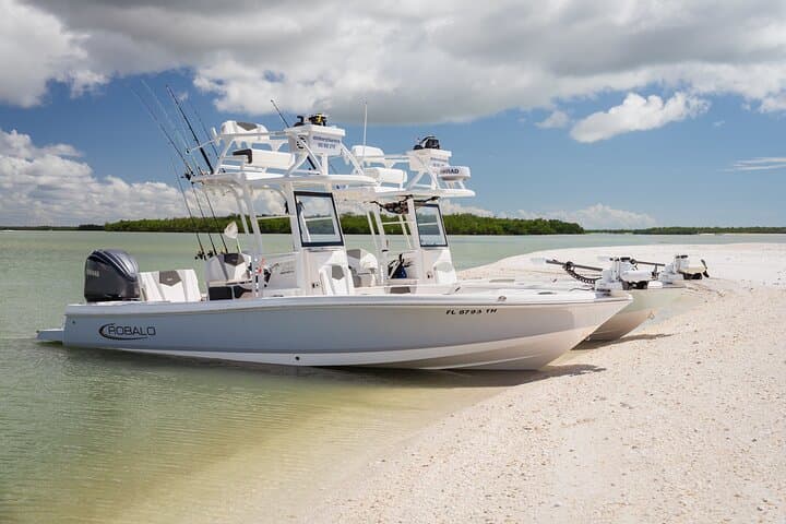 Private Dolphin & Eco Boat Tour in Marco Island — 2-Hour 10,000 Islands Cruise photo 5