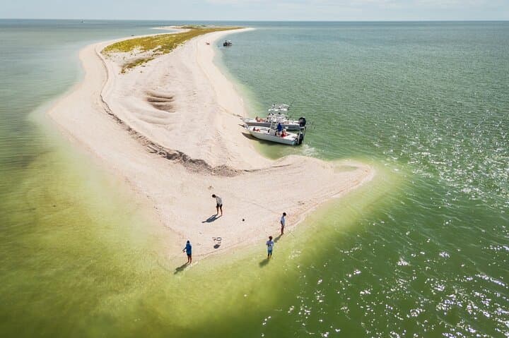 Private Dolphin & Eco Boat Tour in Marco Island — 2-Hour 10,000 Islands Cruise photo 3