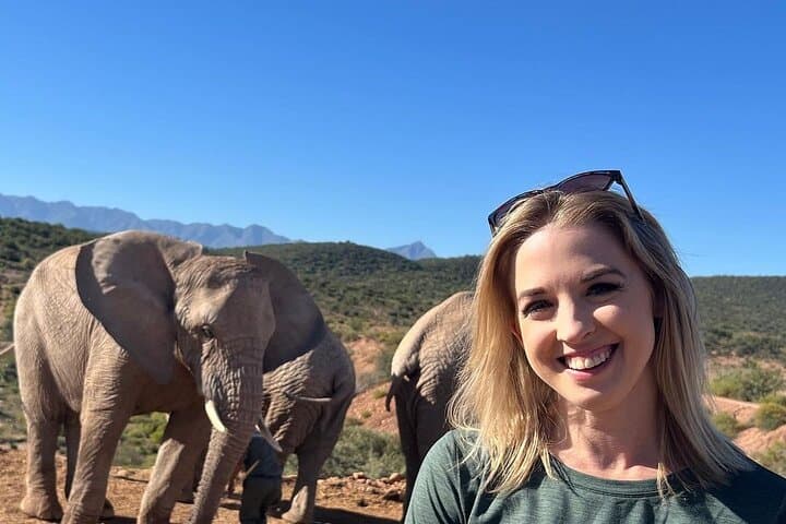 3-Day Buffelsdrift Safari and Ethical Elephant Experience near Oudtshoorn