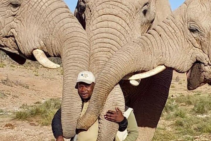 3-Day Buffelsdrift Safari and Ethical Elephant Experience near Oudtshoorn photo 2