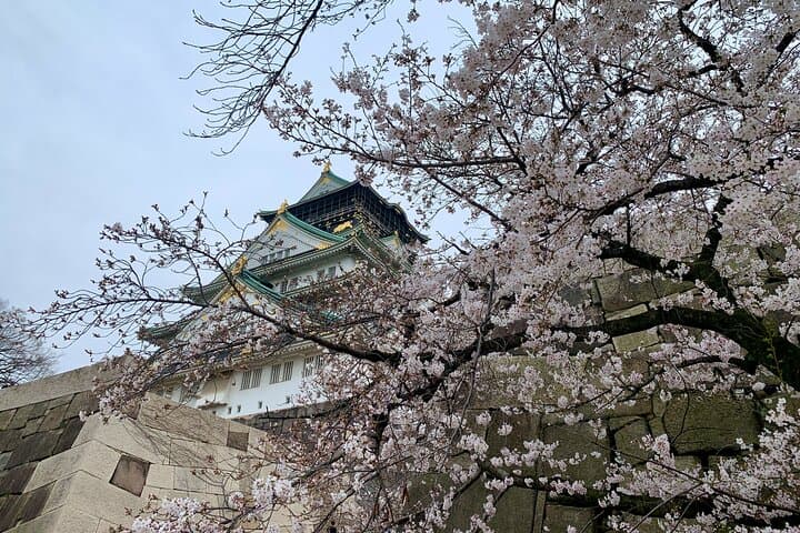 Osaka Walking Tour: Osaka Castle, Tsutenkaku & Dotonbori Street Food Experience photo 2