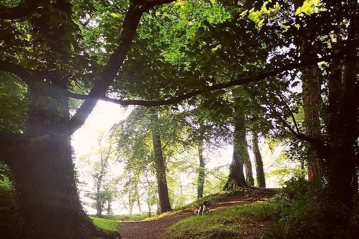 Killaloe E-Bike Tour: Historic River Shannon Ride to Brian Boru's Fort photo 2