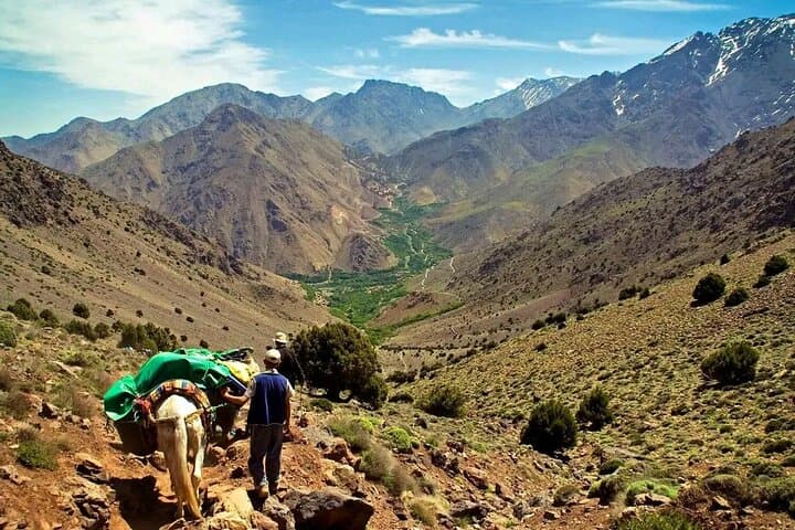 Mt Toubkal Ascent: 3-Day Express Trek from Marrakech photo 5