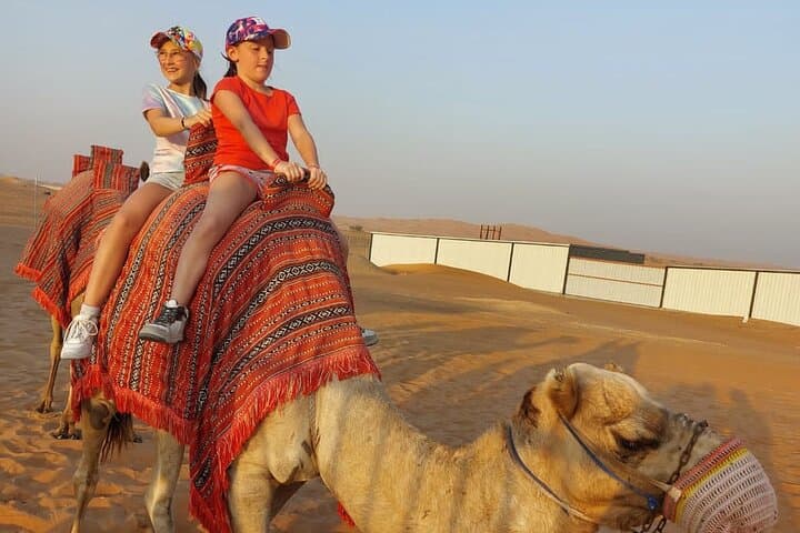 Ras al Khaimah Desert Safari: Sunset Camel Ride & BBQ Experience photo 2