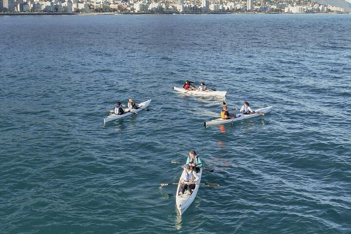 Kayak with Dolphins off Cape Town: Guided Sea Point & Three Anchor Bay Tour
