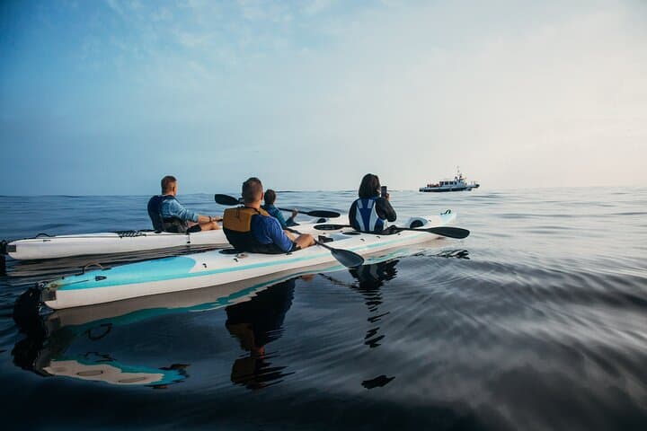 Kayak with Dolphins off Cape Town: Guided Sea Point & Three Anchor Bay Tour photo 2