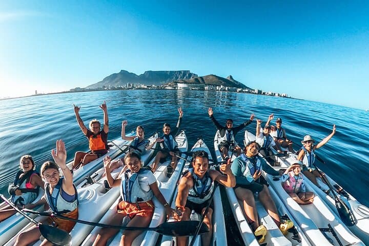 Kayak with Dolphins off Cape Town: Guided Sea Point & Three Anchor Bay Tour photo 4
