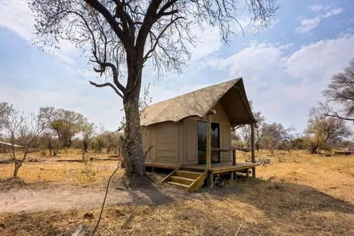 4-Day Botswana Safari: Chobe River & Okavango Delta Wildlife Adventure photo 6