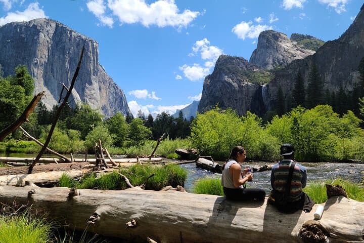 Yosemite Full-Day Sequoias and Waterfalls Naturalist Hike photo 2