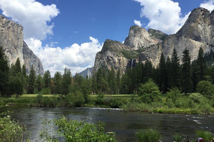 Yosemite Full-Day Sequoias and Waterfalls Naturalist Hike photo 3