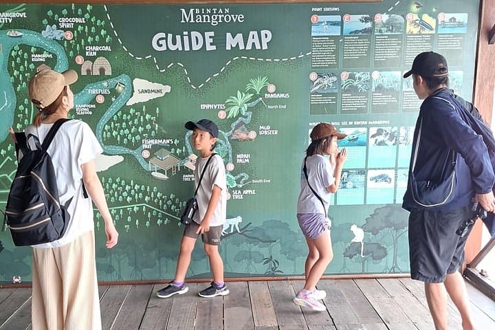 Bintan Mangrove and Fireflies Tour — Day Mangrove Cruise & Night Firefly River Experience photo 3