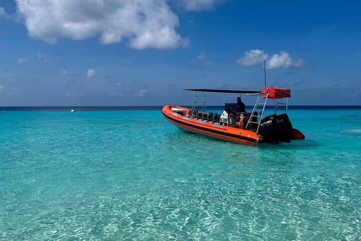 Curaçao Powerboat Private Charter & Snorkel: 2-Hour High-Speed Coastal Adventure photo 4