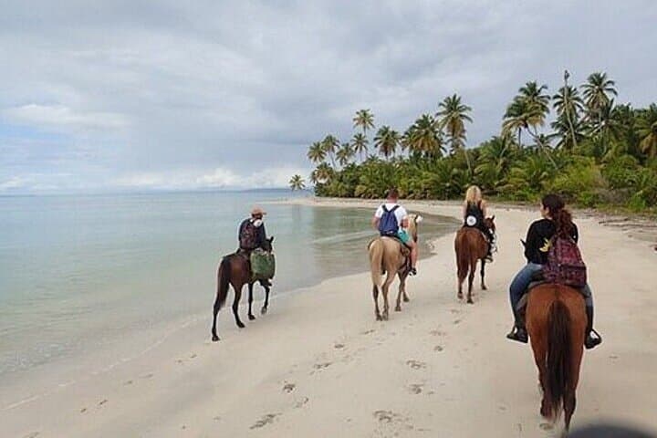 Punta Cana Beach Horseback Riding — Guided Coastal Ride with Private Transport photo 4