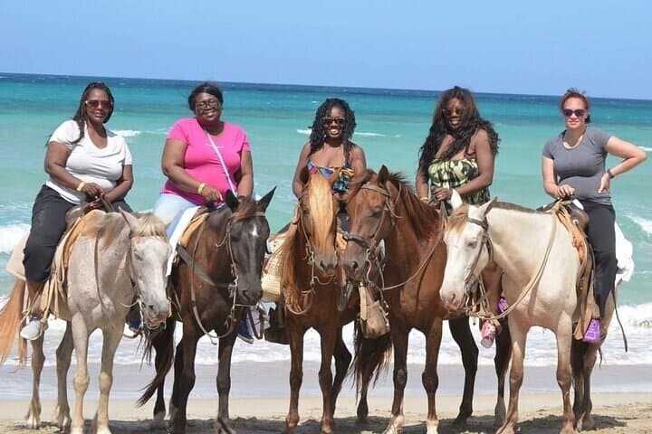 Punta Cana Beach Horseback Riding — Guided Coastal Ride with Private Transport photo 6