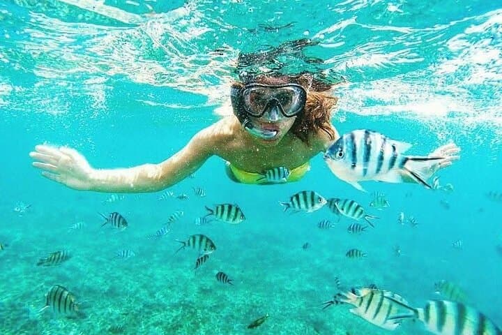 Snorkeling Bawe Island: Best Coral Reefs a 30-Minute Boat Ride from Stone Town photo 6