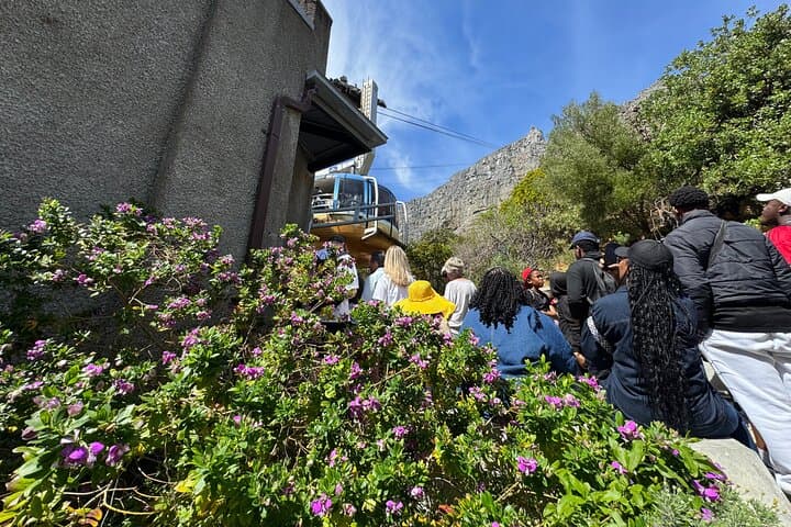 Skip-the-Line Table Mountain Cable Car: Fast-Track Summit Access & Self-Guided Visit photo 6